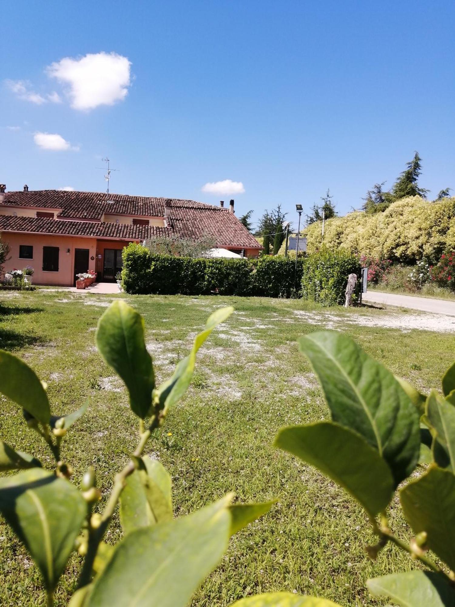 Agriturismo Nuvolino Monzambano Exterior photo